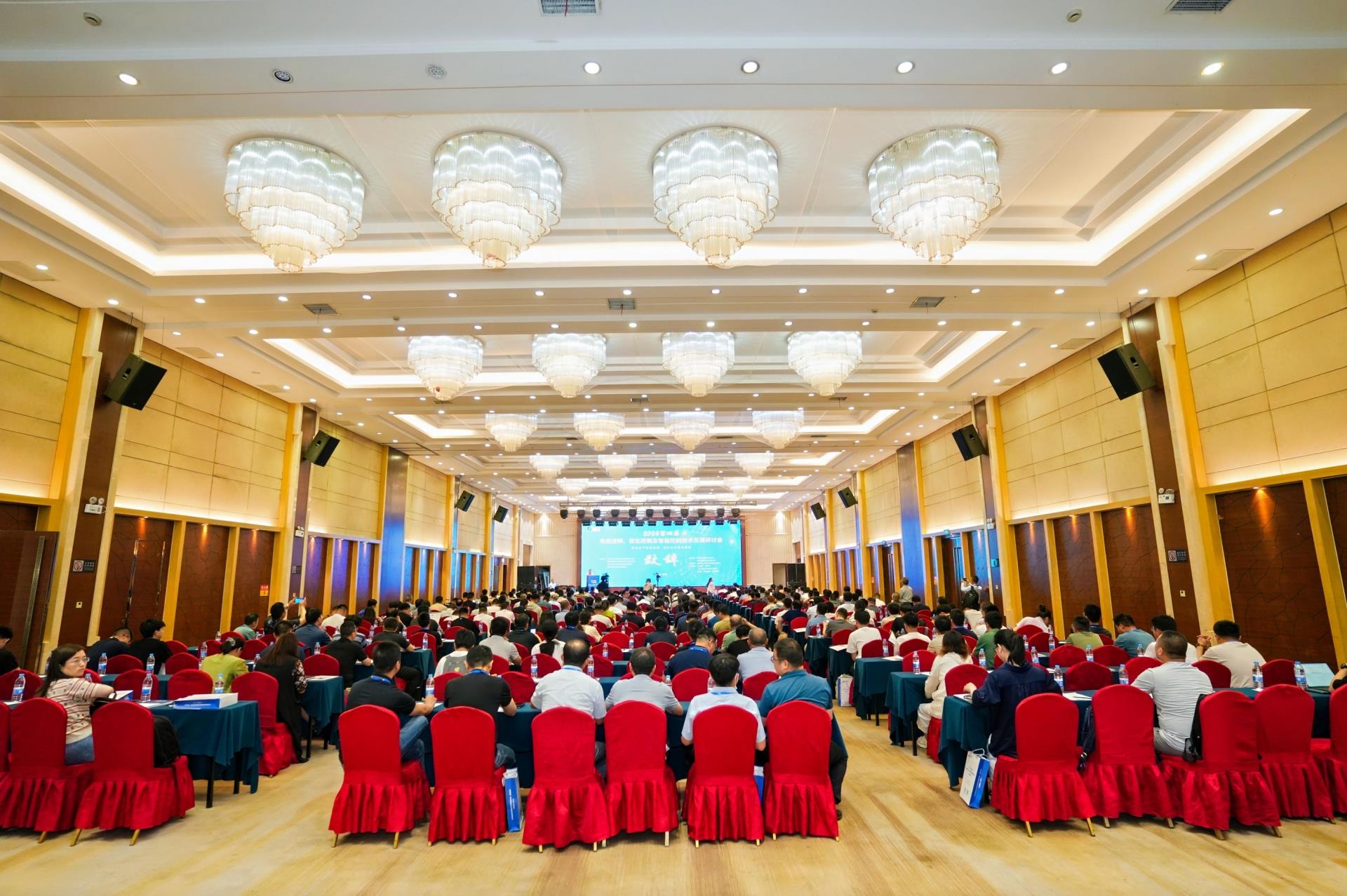 NG������̩-NG�������뼯��