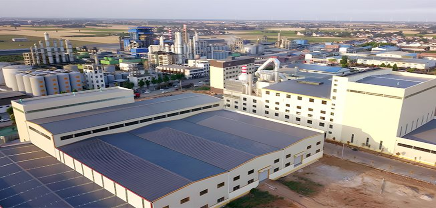 NG������̩-NG�������뼯��